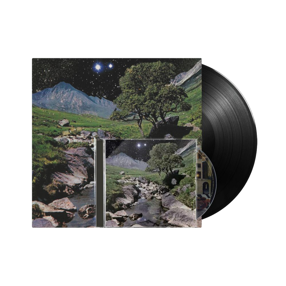 The Beta Band (Vinyl + CD)