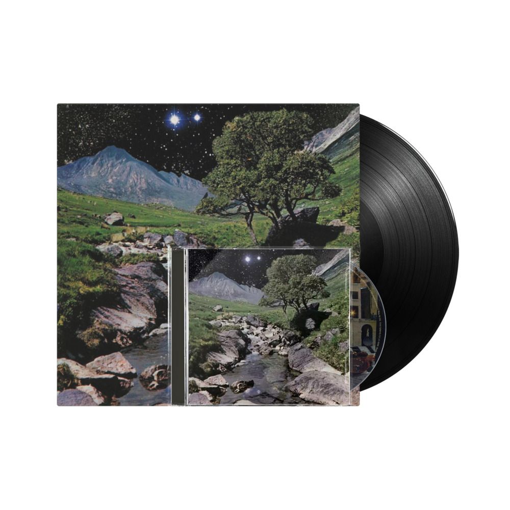 The Beta Band (Vinyl + CD)