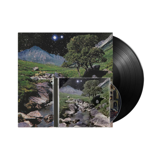 The Beta Band (Vinyl + CD)